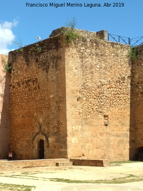 Castillo de los Guzmanes. Torre del Homenaje - Castillo de los Guzmanes. Torre del Homenaje. 