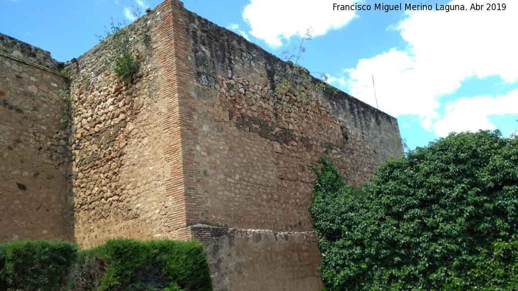 Castillo de los Guzmanes. Torre del Homenaje - Castillo de los Guzmanes. Torre del Homenaje. Desde el Patio de la Barbacana