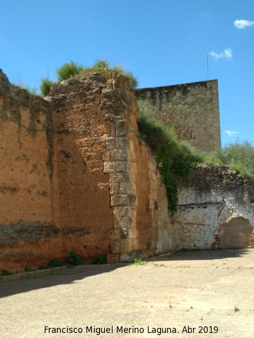 Muralla de Niebla. Torre Norte IX - Muralla de Niebla. Torre Norte IX. Situacin