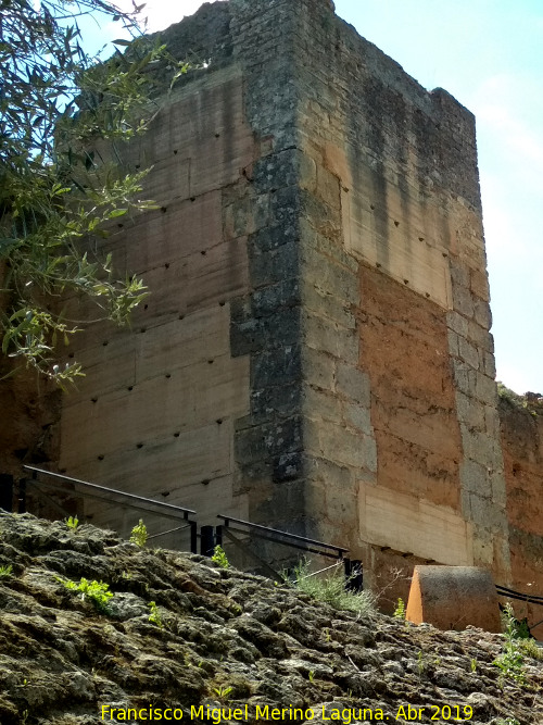 Muralla de Niebla. Torre Norte X - Muralla de Niebla. Torre Norte X. 