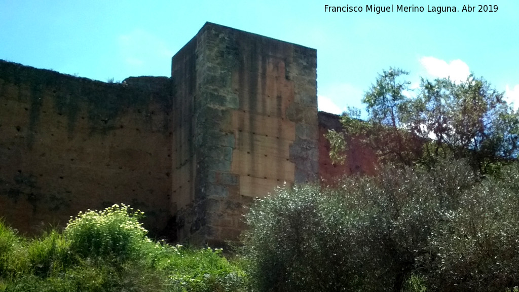 Muralla de Niebla. Torre Norte XII - Muralla de Niebla. Torre Norte XII. 