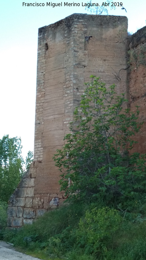 Muralla de Niebla. Torre Noreste - Muralla de Niebla. Torre Noreste. 