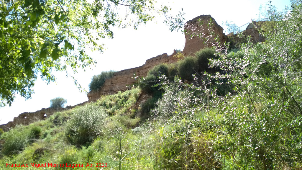 Muralla de Niebla. Torre Este II - Muralla de Niebla. Torre Este II. 