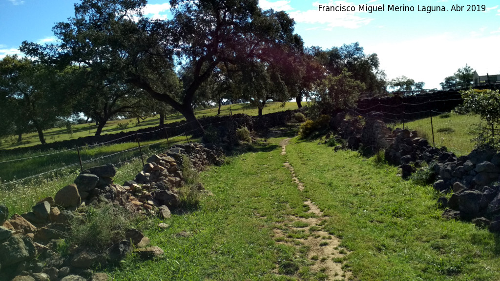 Camino del Peasquillo - Camino del Peasquillo. 