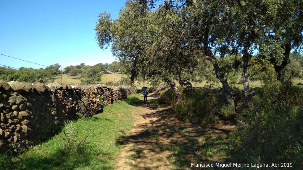 Camino del Peasquillo - Camino del Peasquillo. 