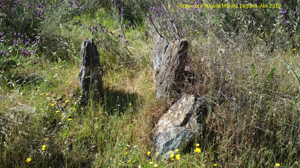 Dolmen de los Nios - Dolmen de los Nios. 