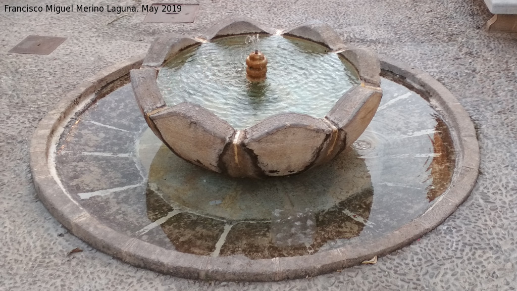 Fuente del Psito - Fuente del Psito. 