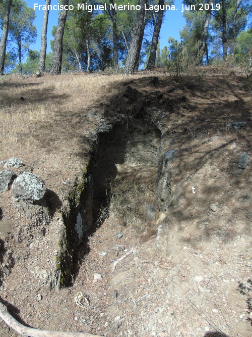 Trincheras de las Aguilillas - Trincheras de las Aguilillas. 