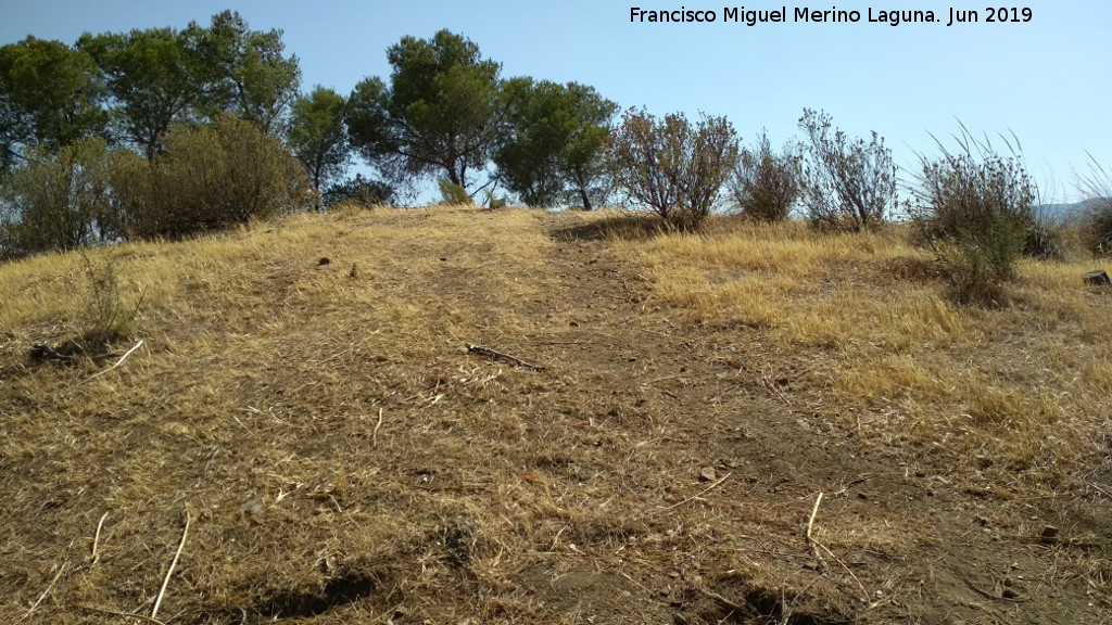 Loma de las Aguilillas - Loma de las Aguilillas. 