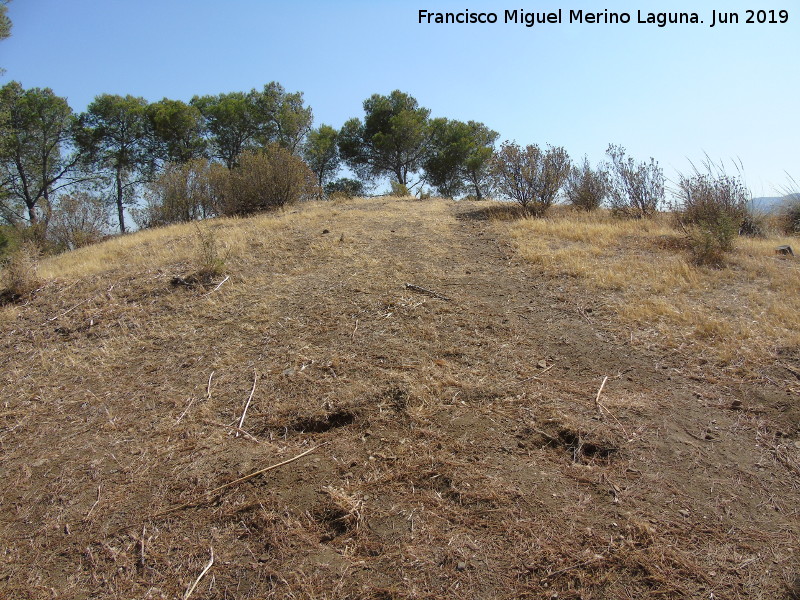 Loma de las Aguilillas - Loma de las Aguilillas. 