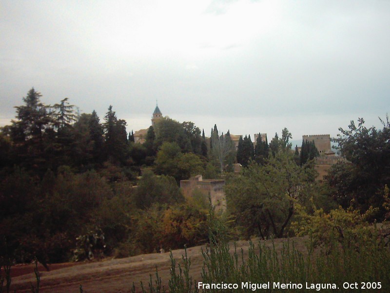 Bosque de la Alhambra - Bosque de la Alhambra. 