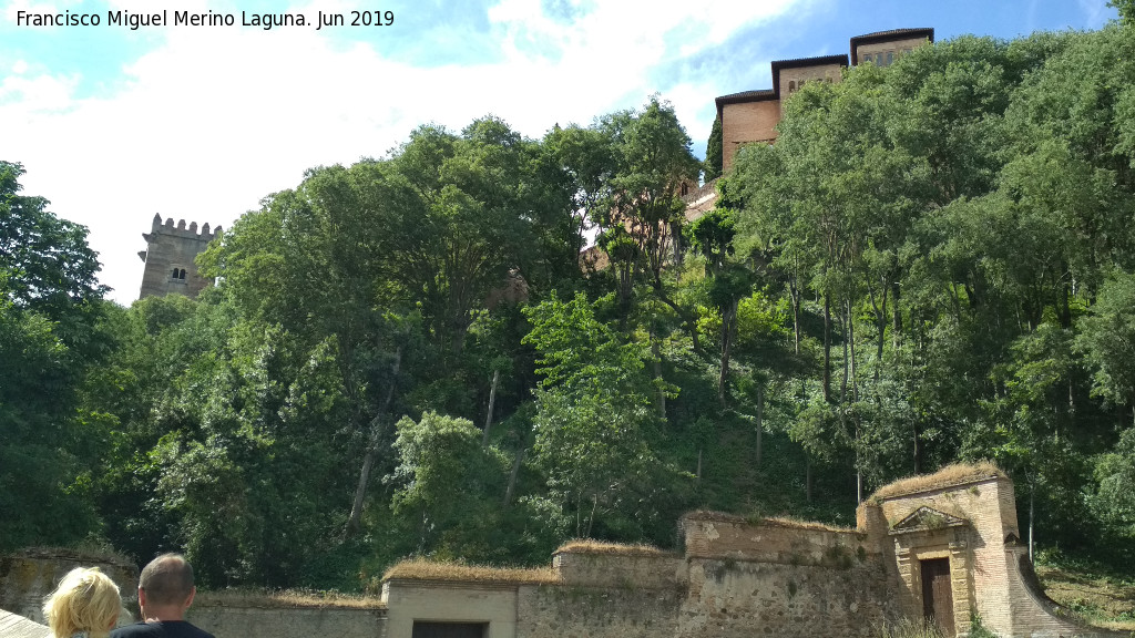 Bosque de la Alhambra - Bosque de la Alhambra. Desde la Cuesta del Rey Chico