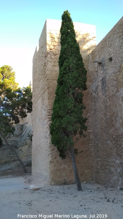 Castillo de Santa Brbara. Torre del Colomer - Castillo de Santa Brbara. Torre del Colomer. 