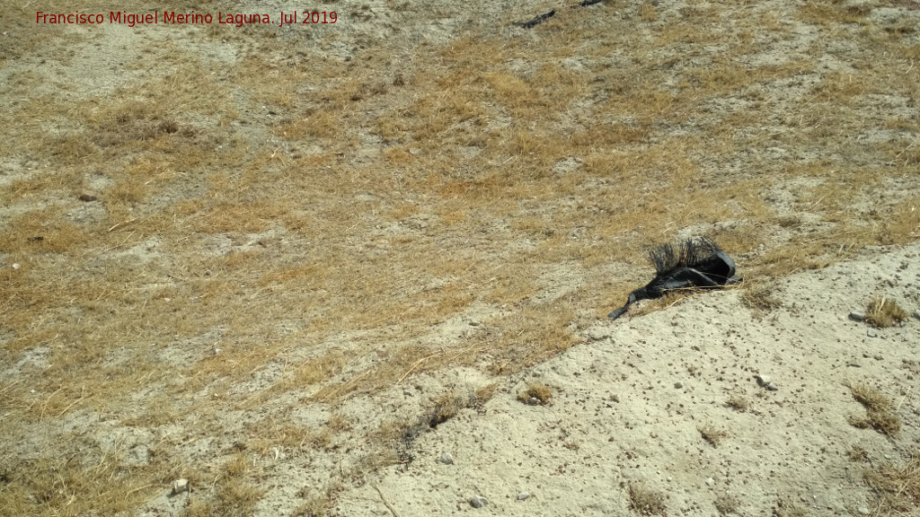 Necrpolis del Cerro del Santuario. Tumba 179 - Necrpolis del Cerro del Santuario. Tumba 179. Lmite del tmulo