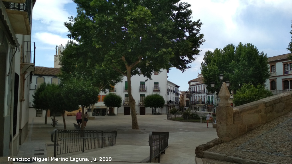 Plaza Mayor - Plaza Mayor. 