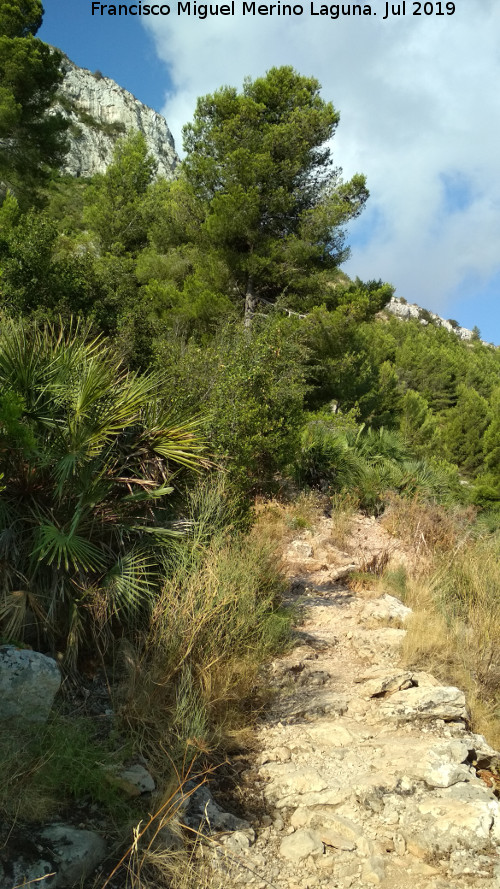 Camino de la Cueva del Agua - Camino de la Cueva del Agua. 