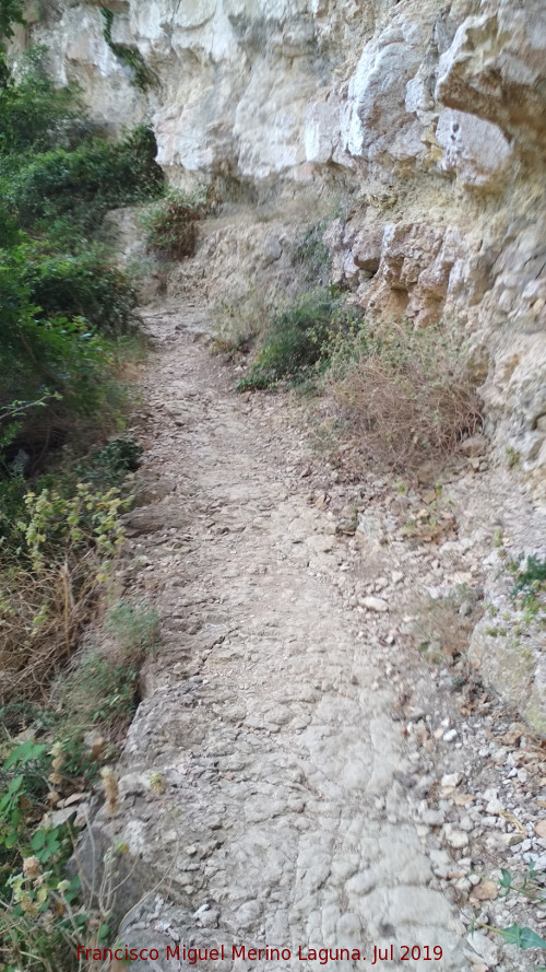 Camino de la Cueva del Agua - Camino de la Cueva del Agua. 