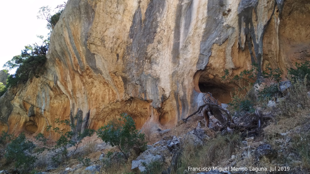 Petroglifos rupestres del Abrigo de la Tinaja VI - Petroglifos rupestres del Abrigo de la Tinaja VI. Abrigo