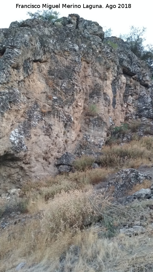 Pinturas rupestres del Abrigo de Mingo Lpez I - Pinturas rupestres del Abrigo de Mingo Lpez I. Faralln rocoso donde se encuentran los abrigos