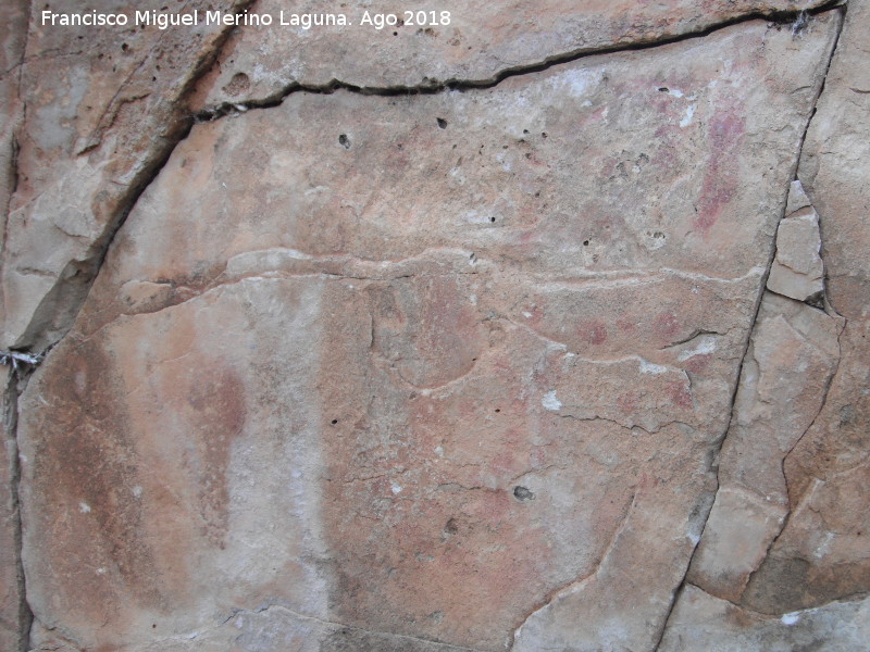 Pinturas rupestres de la Raspa de Piedra Redonda III - Pinturas rupestres de la Raspa de Piedra Redonda III. Figura de puntos