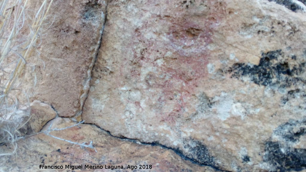 Pinturas rupestres de la Raspa de Piedra Redonda III - Pinturas rupestres de la Raspa de Piedra Redonda III. Detalle