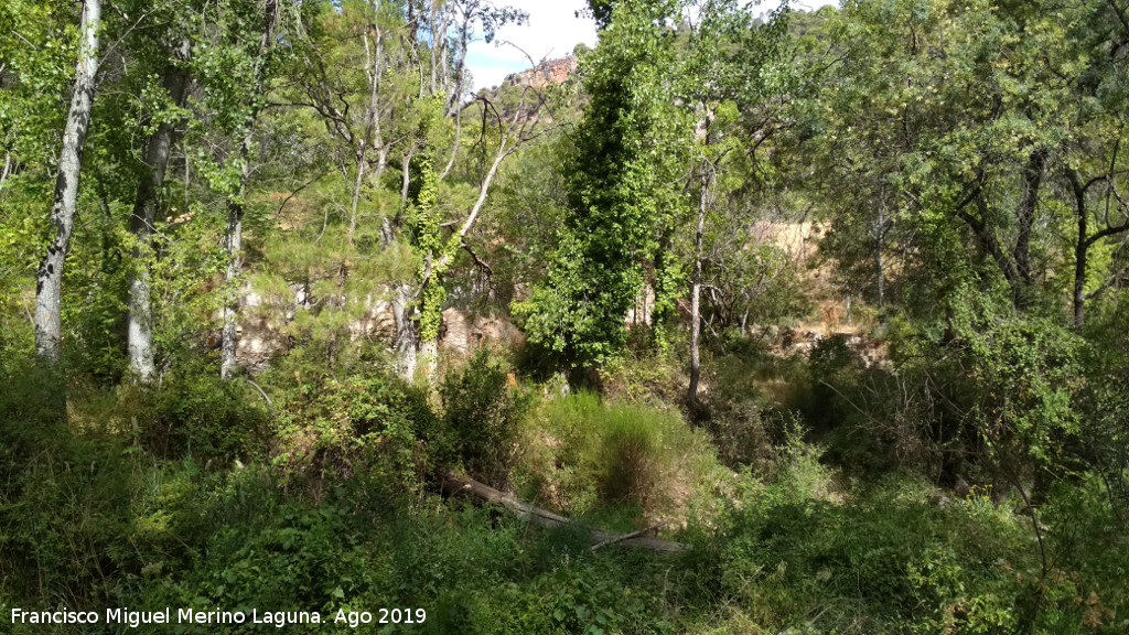 Casa Forestal del Ro Caamares - Casa Forestal del Ro Caamares. 