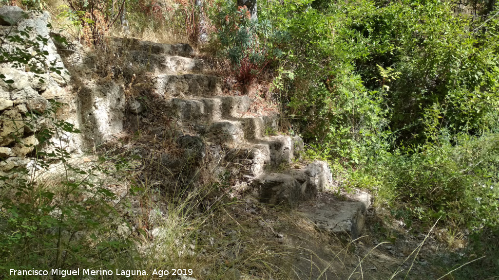 Casa Forestal del Ro Caamares - Casa Forestal del Ro Caamares. Escaleras