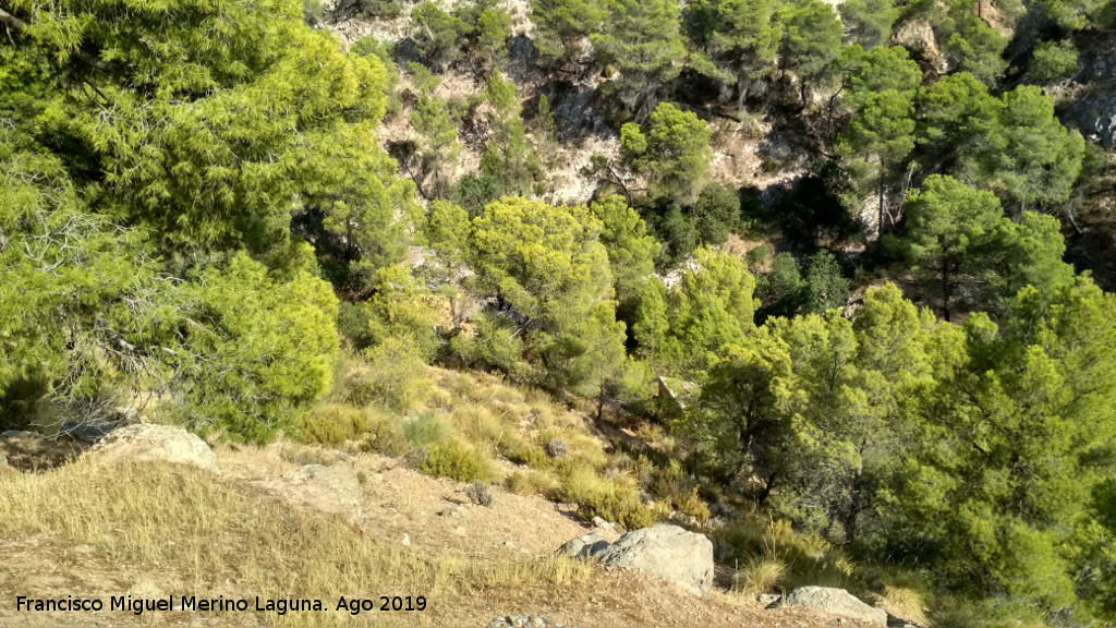 Barranco de la Canal - Barranco de la Canal. Desde la Casa de los Anarquistas