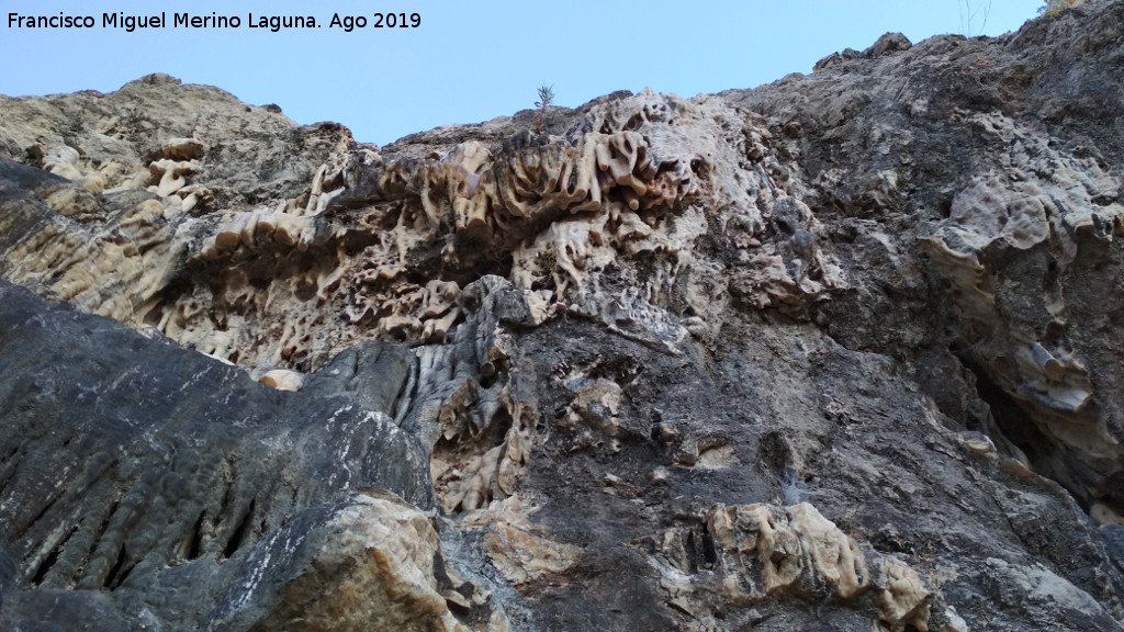 Espeleotemas de la Cantera del Chozo - Espeleotemas de la Cantera del Chozo. 