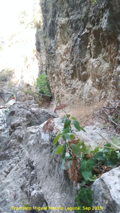 Caz del Molino Martos - Caz del Molino Martos. 