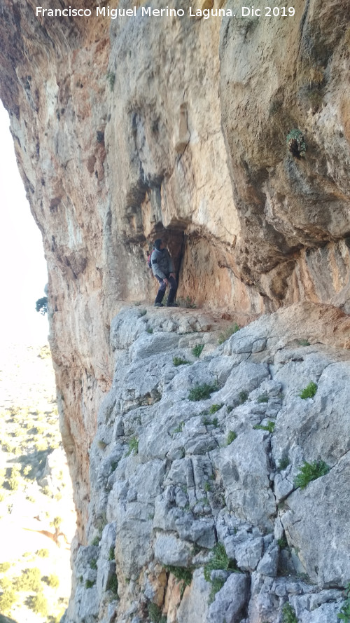 Pinturas rupestres del Poyo de la Cerradura - Pinturas rupestres del Poyo de la Cerradura. Abrigo