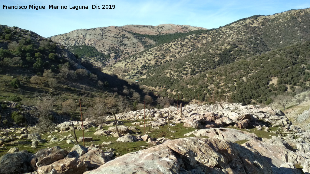 Cortijo de la Nave de las nimas - Cortijo de la Nave de las nimas. Desde el Barranco del Tejuelo