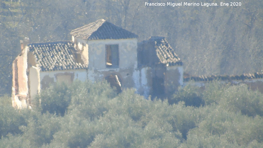 Cortijo del Indiano - Cortijo del Indiano. 