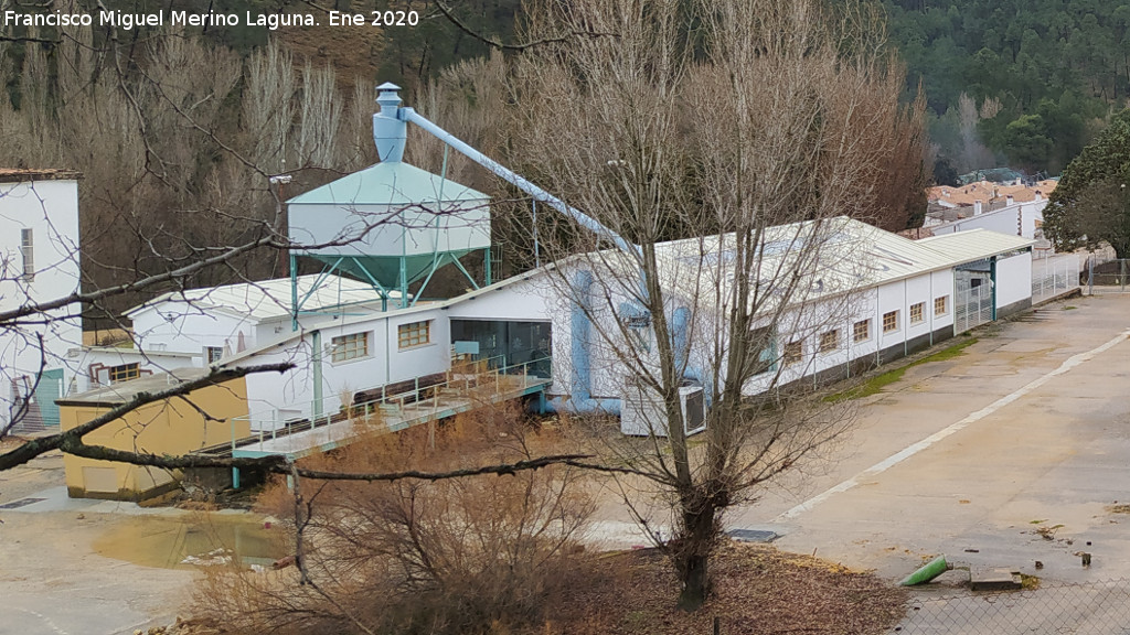 Antiguo Aserradero de RENFE - Antiguo Aserradero de RENFE. 