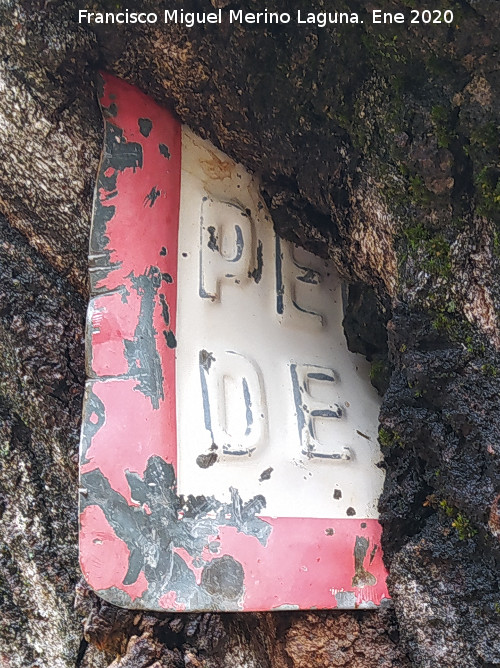 Se�al Devorada - Se�al Devorada. 