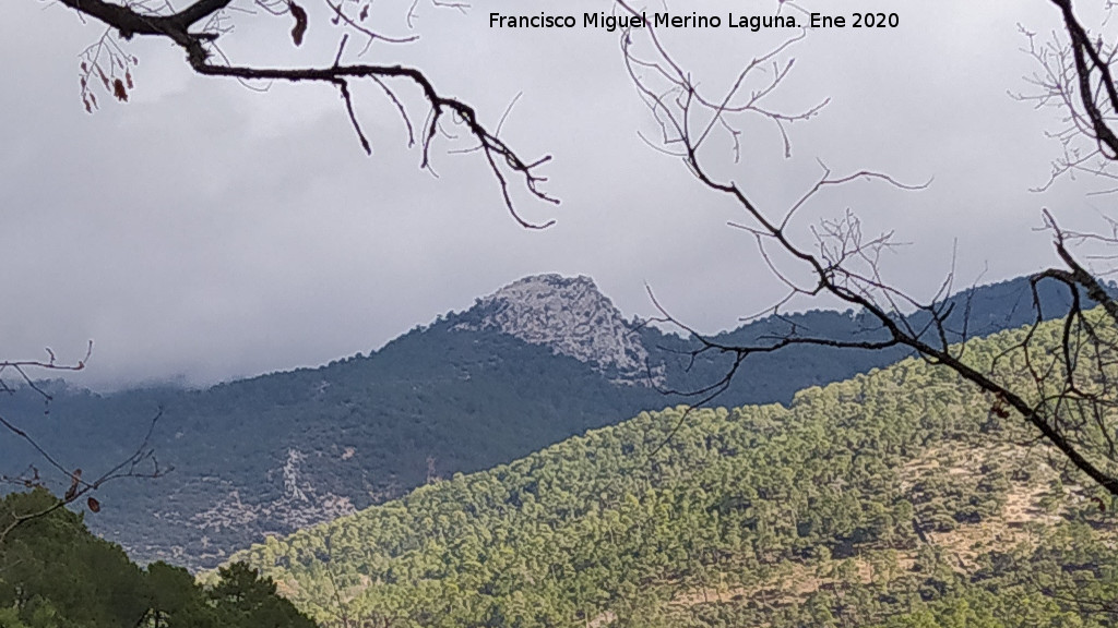 Pe�a Gallinera - Pe�a Gallinera. Desde el Sendero Fuente del Oso - Puente de las Herrer�as