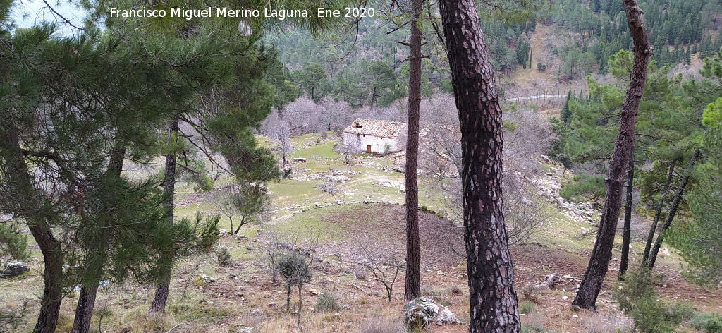 Era de Locos - Era de Locos. Situaci�n