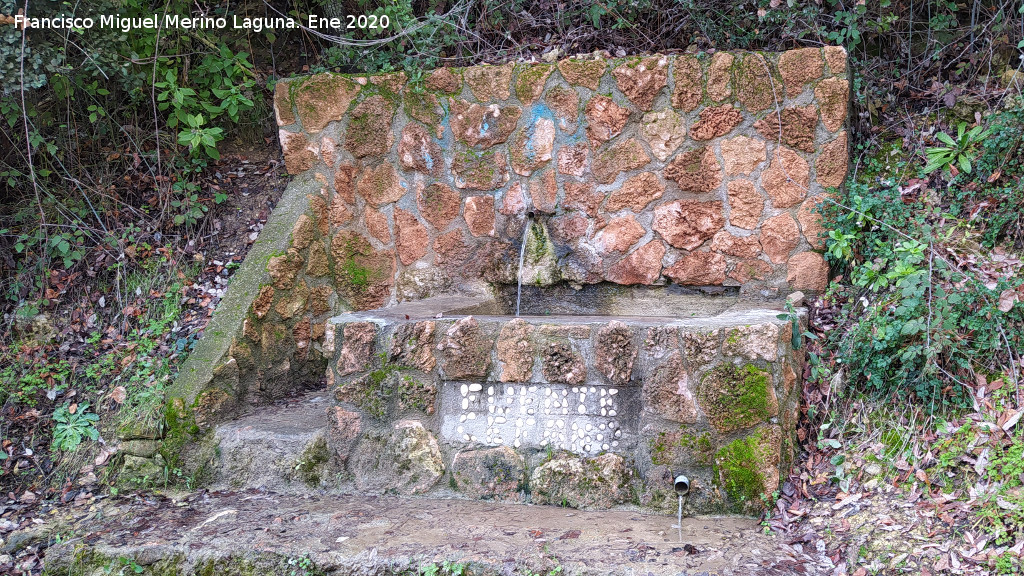Fuente C�fano - Fuente C�fano. 