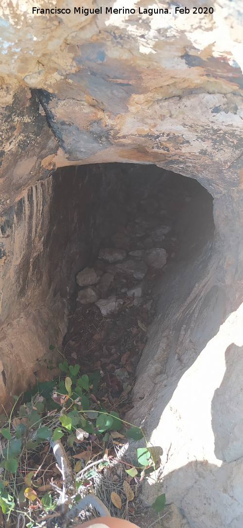 Pinturas rupestres Abrigo Este de las Pe�as de Castro VI - Pinturas rupestres Abrigo Este de las Pe�as de Castro VI. Cueva del abrigo