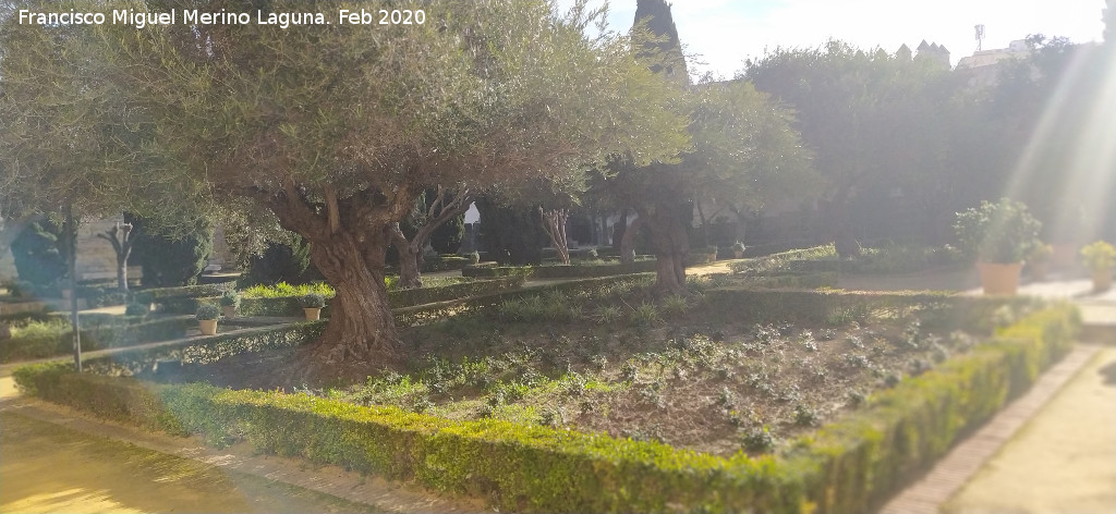 Alc�zar de Jerez. Jardines �rabes de San Fernando - Alc�zar de Jerez. Jardines �rabes de San Fernando. 