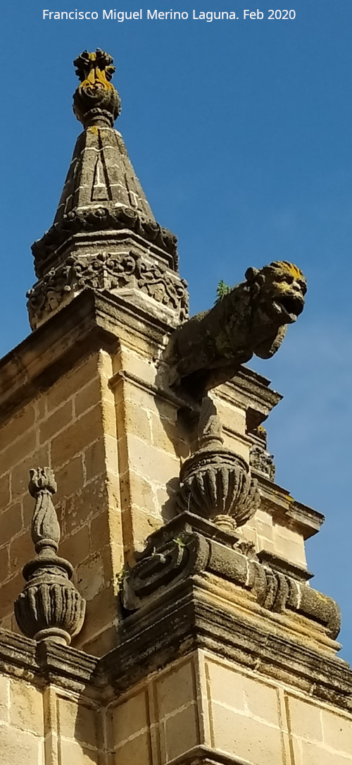 G�rgola - G�rgola. Catedral del Salvador - Jerez de la Frontera