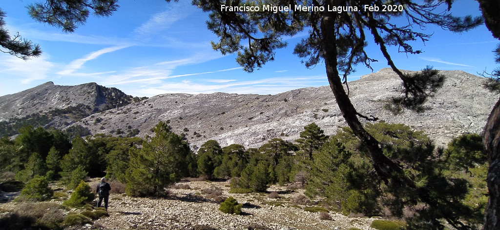Loma de Cagasebo - Loma de Cagasebo. Al fondo la Cuerda de los Agrios