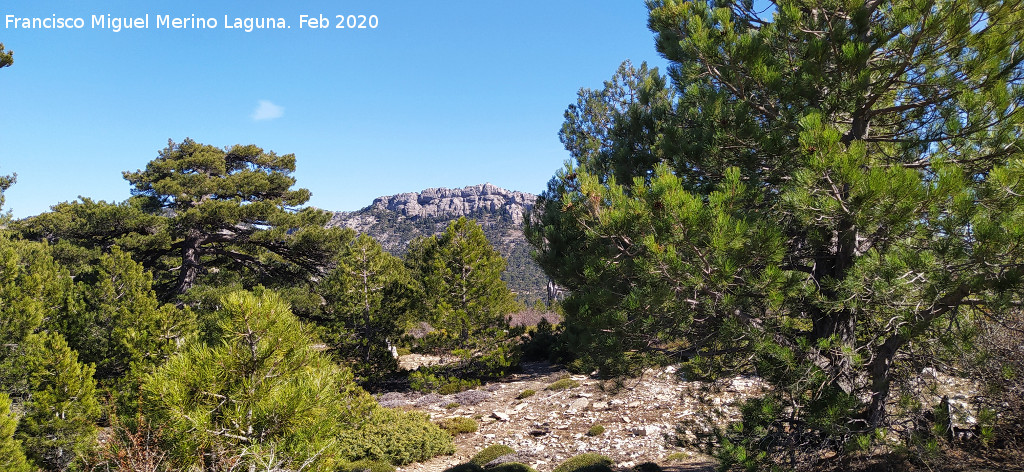 Loma de Cagasebo - Loma de Cagasebo. Con el Caba�as al fondo