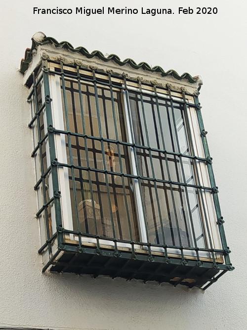 Casa de la Calle Roque Rojas n� 6 - Casa de la Calle Roque Rojas n� 6. Reja de rosetas