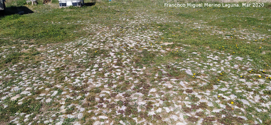 Era de la Ventilla I - Era de la Ventilla I. Empedrado radial