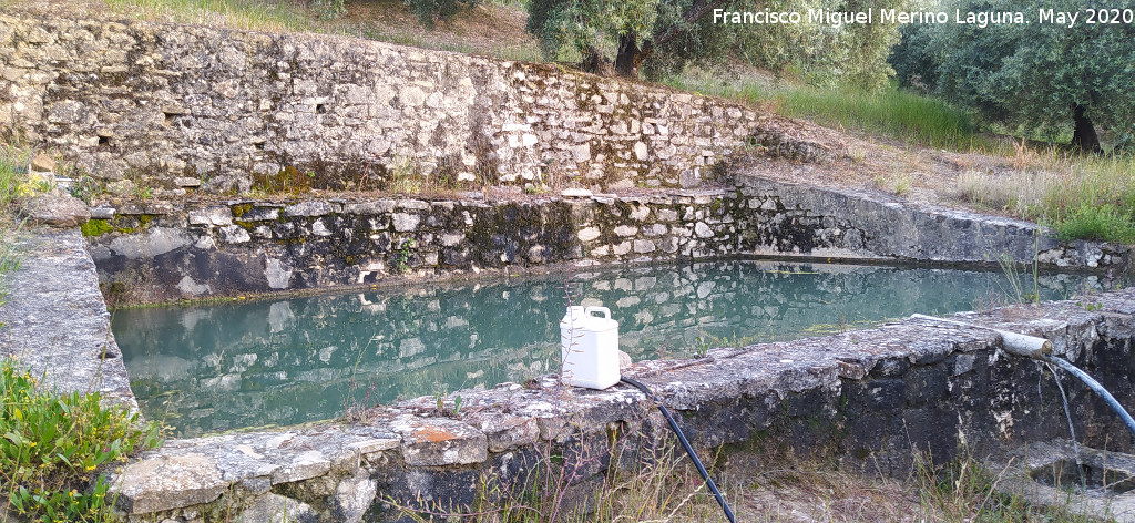 Alberca Sur de la Venta - Alberca Sur de la Venta. 