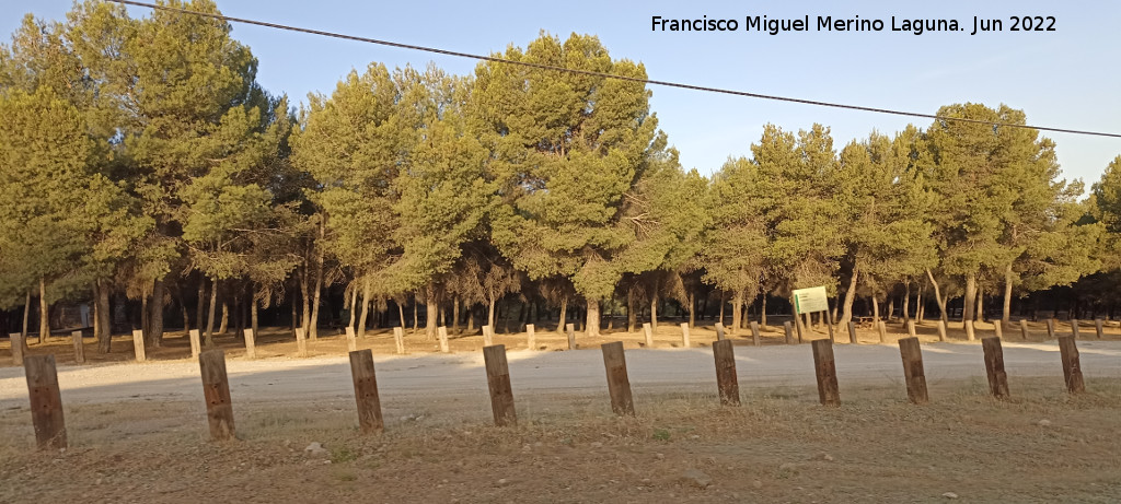 �rea recreativa La Zubia - �rea recreativa La Zubia. 