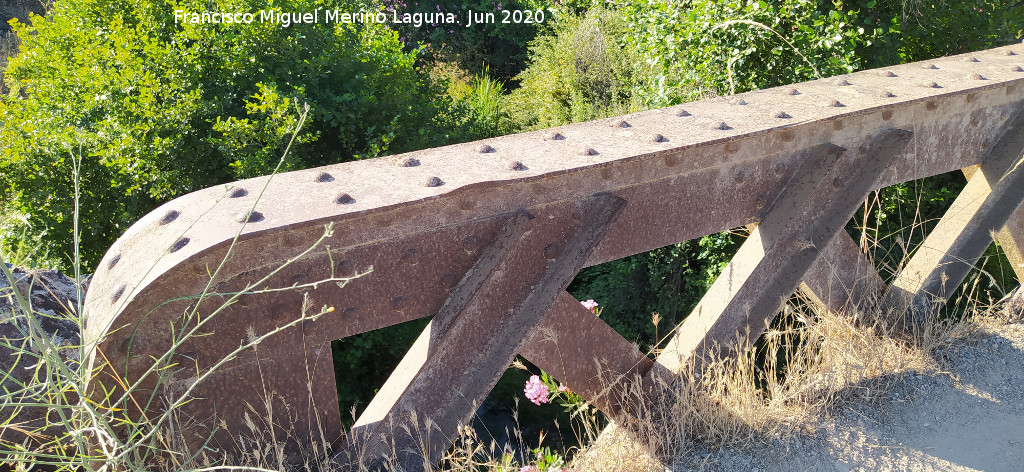 Puente minero de la Campana - Puente minero de la Campana. Parapeto con remaches