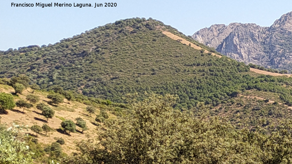 Cerro Madro�ero - Cerro Madro�ero. Desde el Mirador Cerro del Plomo