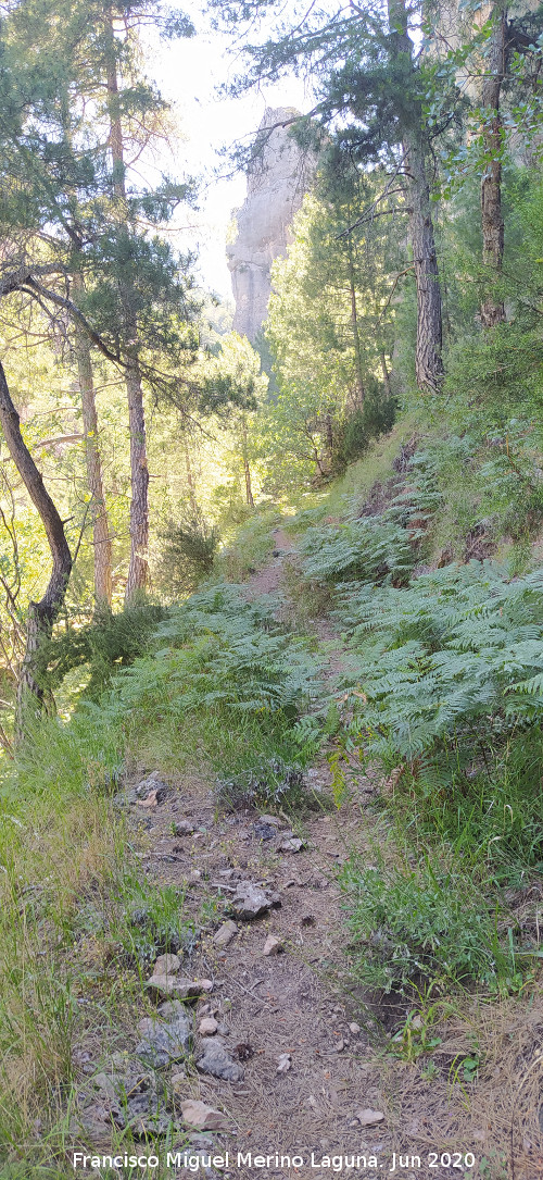 Camino de las Grajas - Camino de las Grajas. 